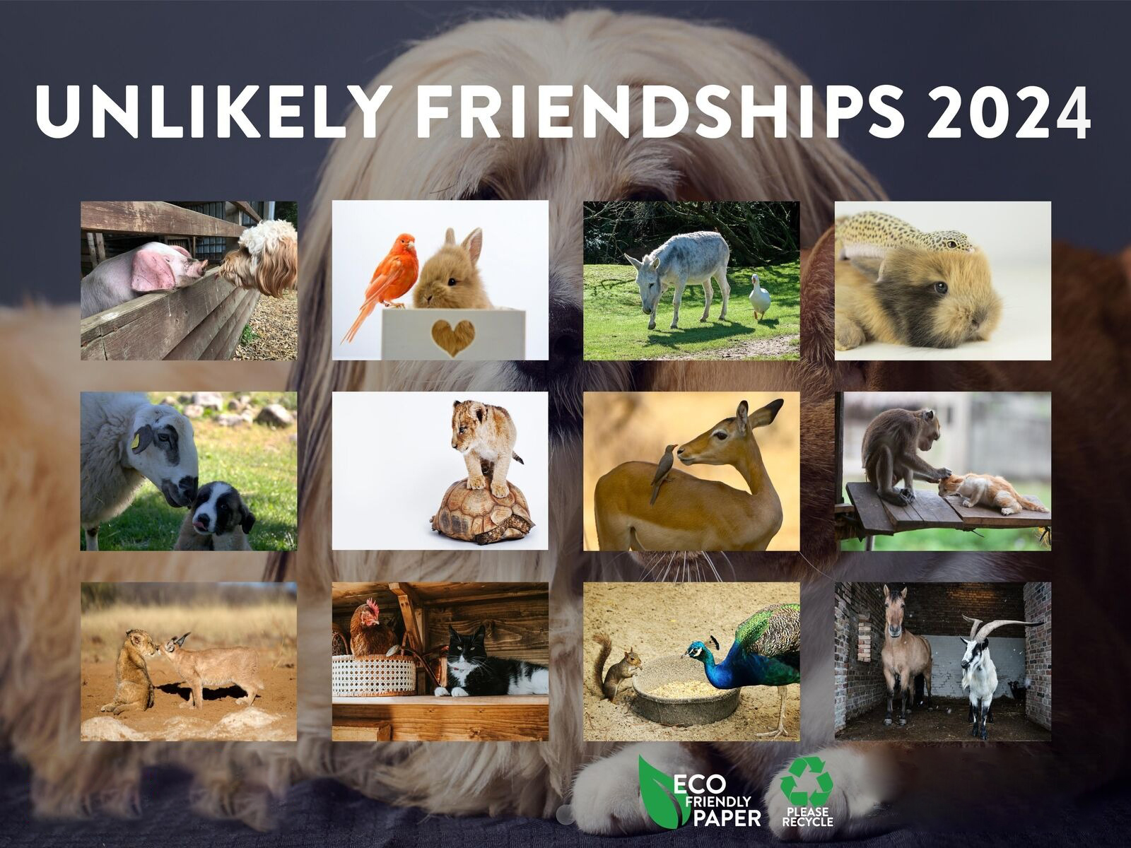 Unlikely Friendships 2025 Wall Calendar