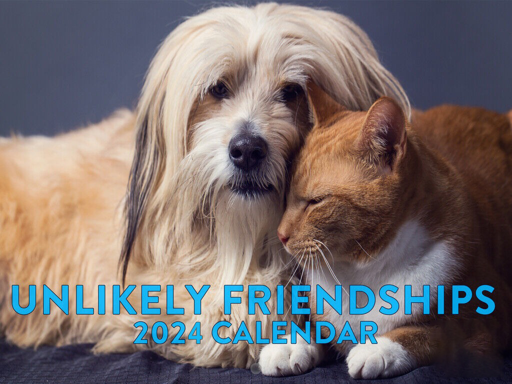 Unlikely Animal Friends Calendar 2024 Bili Philipa     49 