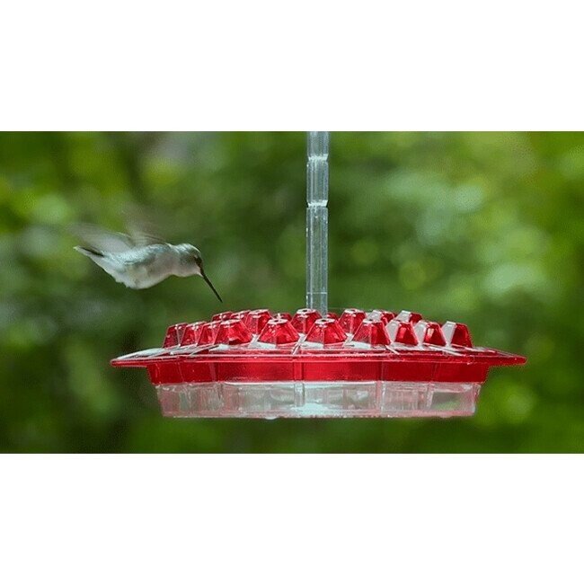 Mary's Hummingbird Feeder With Perch And BuiltIn Ant MoatBuy 2 Free