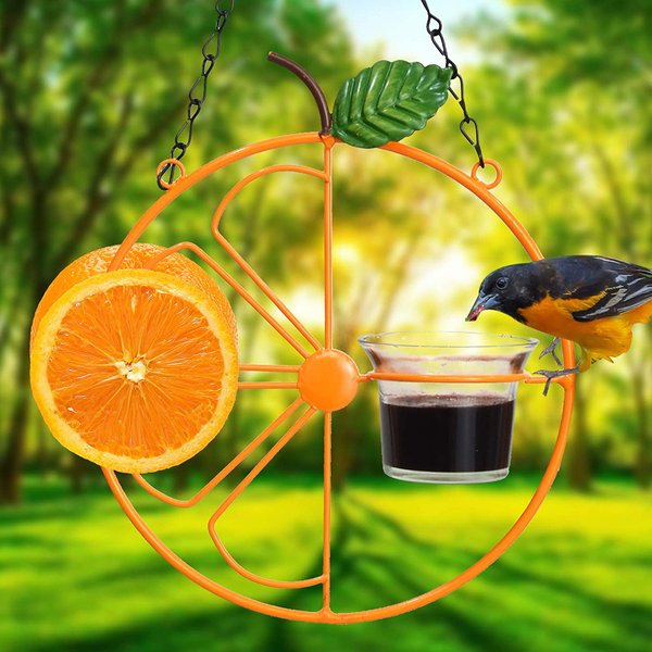 🐦Summer Sale  -  Oriole Bird Feeder Orange