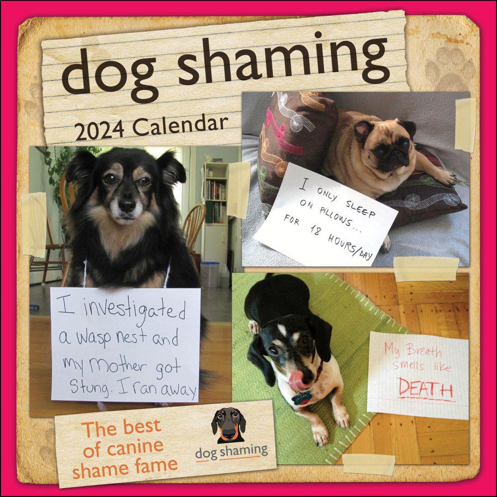 🐶Dog Shaming 2024 Wall Calendar