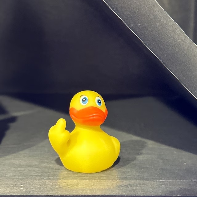 🐸Rebellious Frog Figurine