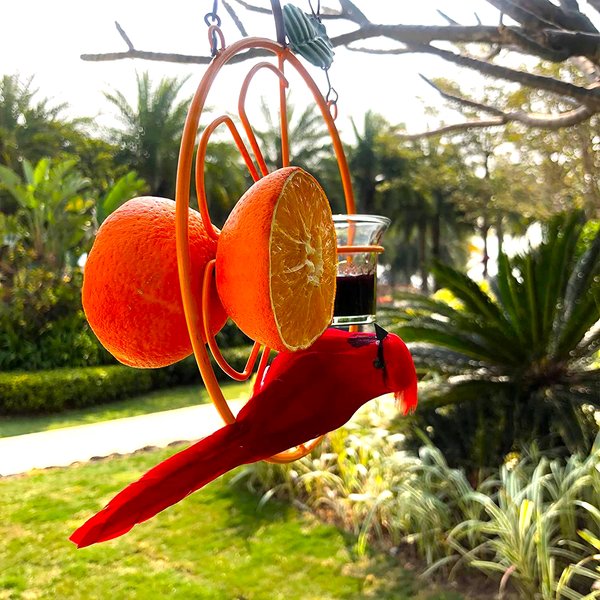 🐦Summer Sale  -  Oriole Bird Feeder Orange