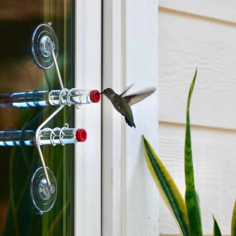 Geometric Window Hummingbird Feeder🐦