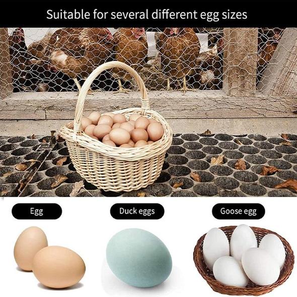 (HOT SALE NOW) Egg Apron