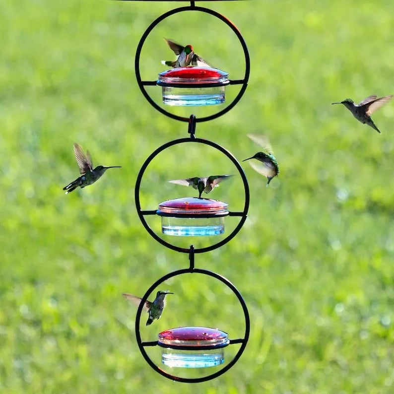 🎉 Last Day Promotion-49% OFF 🎉Hummble Slim Hummingbird Feeder