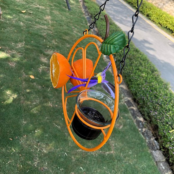 🐦Summer Sale  -  Oriole Bird Feeder Orange