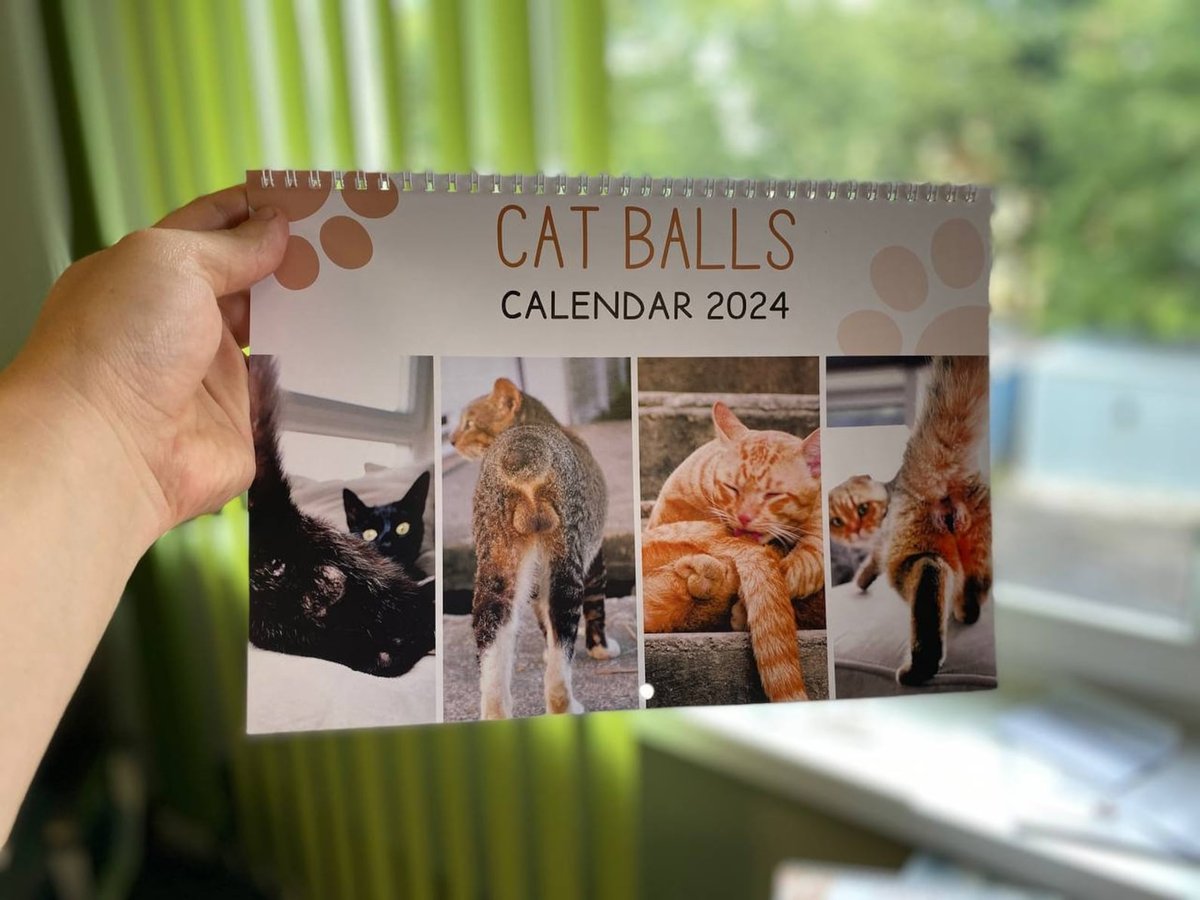 🤣2024 Funny Gift Cats Buttholes Calendar
