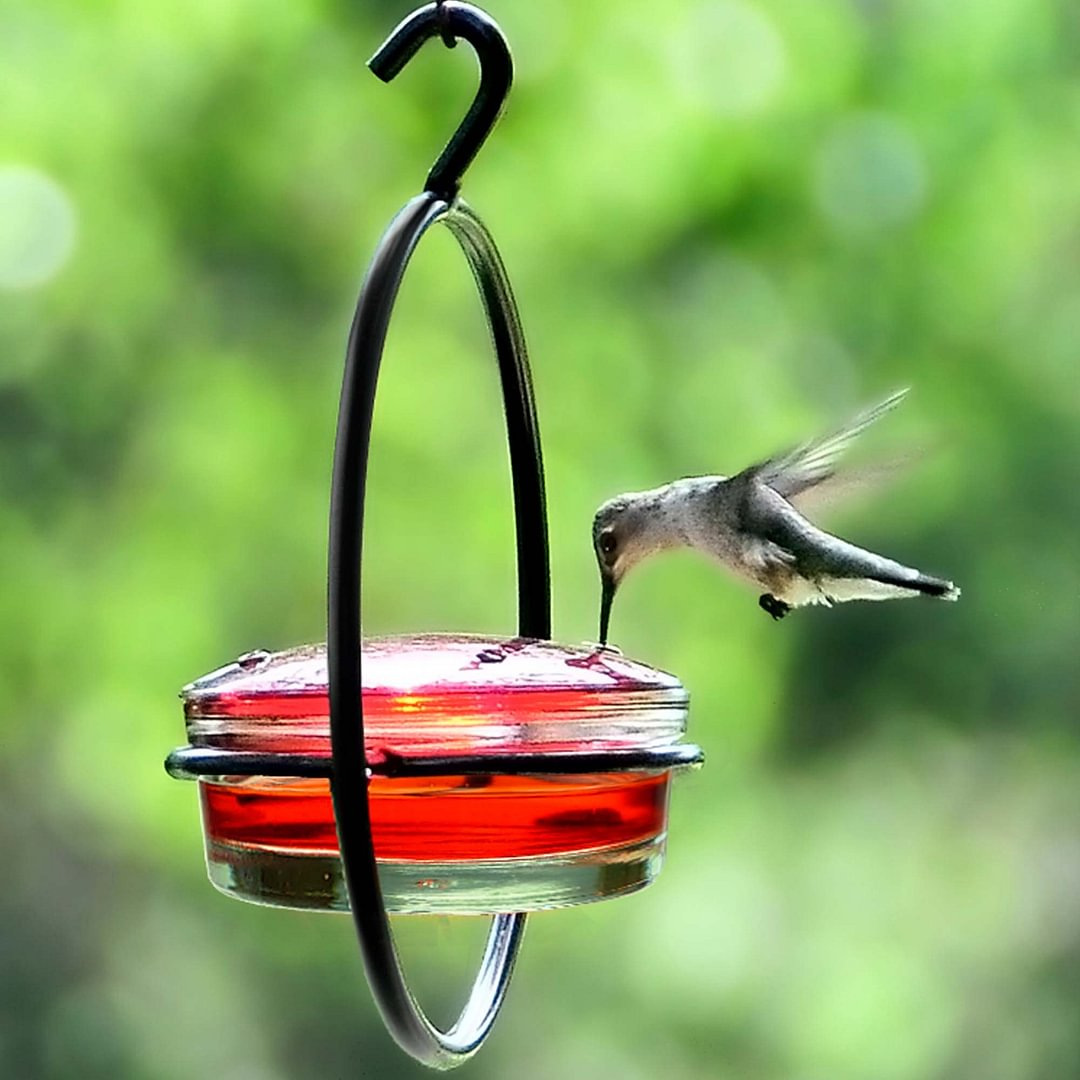 🎉 Last Day Promotion-49% OFF 🎉Hummble Slim Hummingbird Feeder
