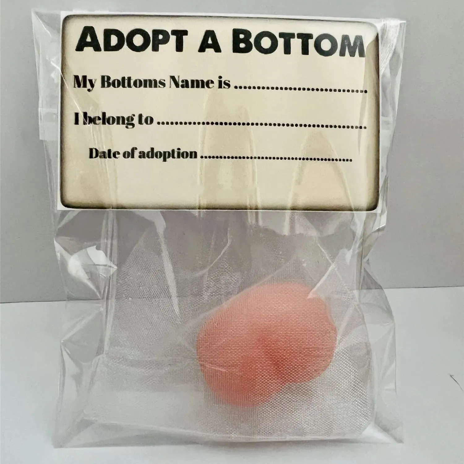 🤣Novelty Naughty Willy Adoption Kit Funny Gift