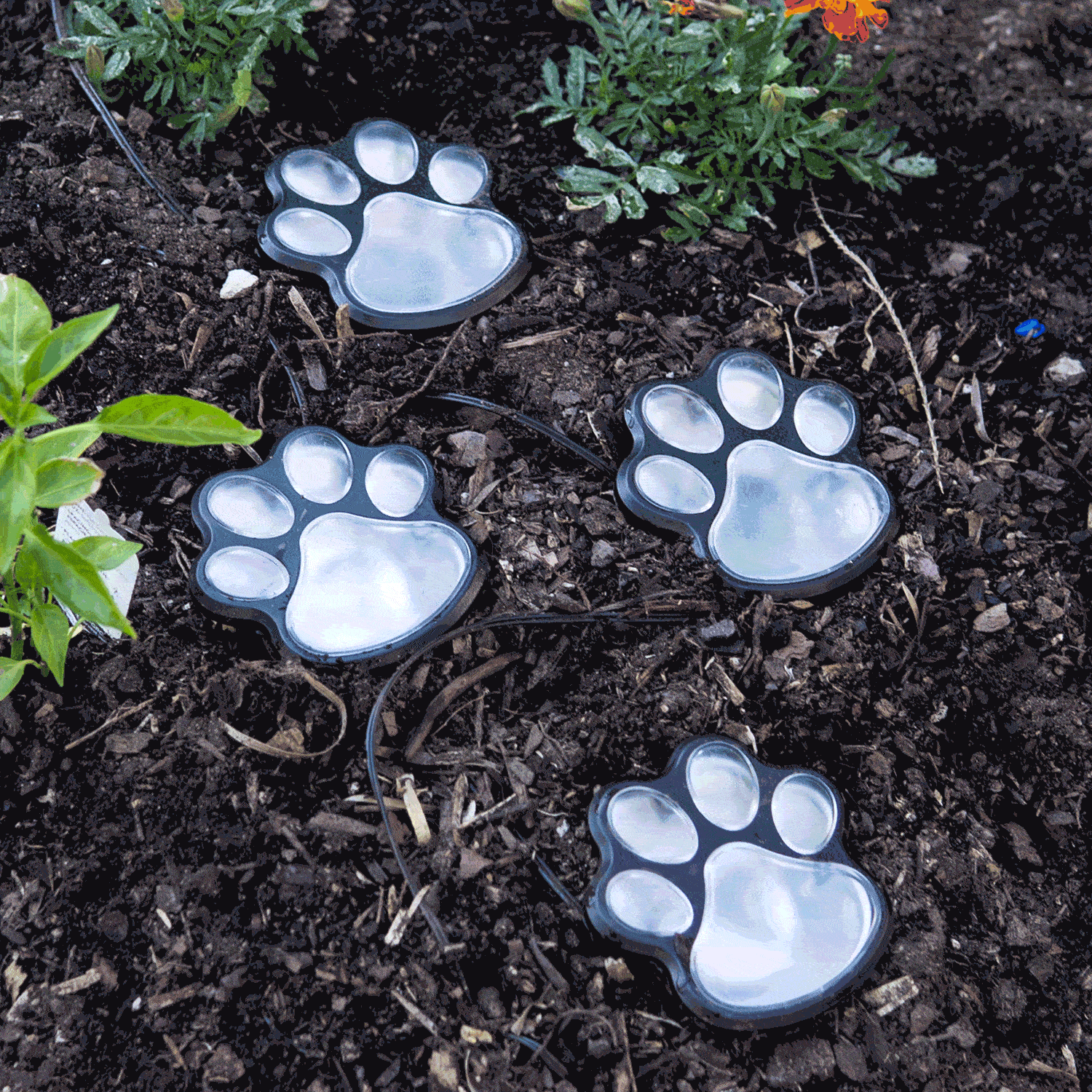 Path To My Heart -Color Changing Paw Prints Solar Garden Lights