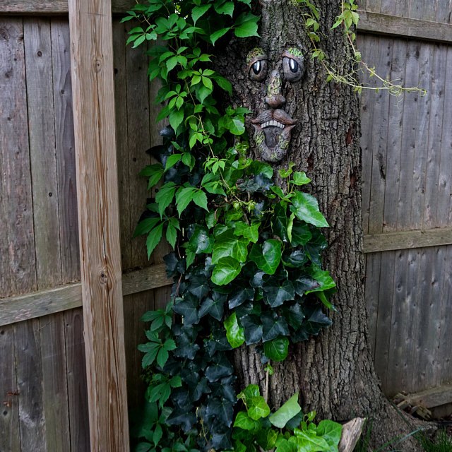 Sal Catalano added a photo of their purchase