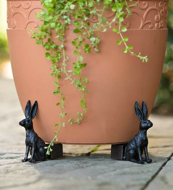 🔥Cute Animal Shaped Pots Feet(🔥set of 3)