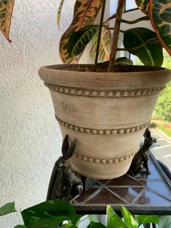 🔥Cute Animal Shaped Pots Feet(🔥set of 3)