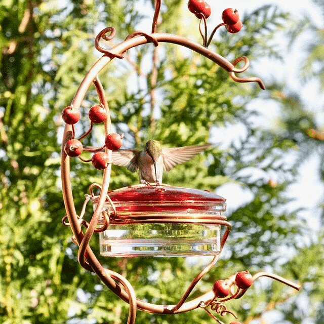Red Berries Hummingbird Feeder, copper hummingbird swing