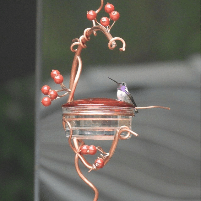 Red Berries Hummingbird Feeder, copper hummingbird swing