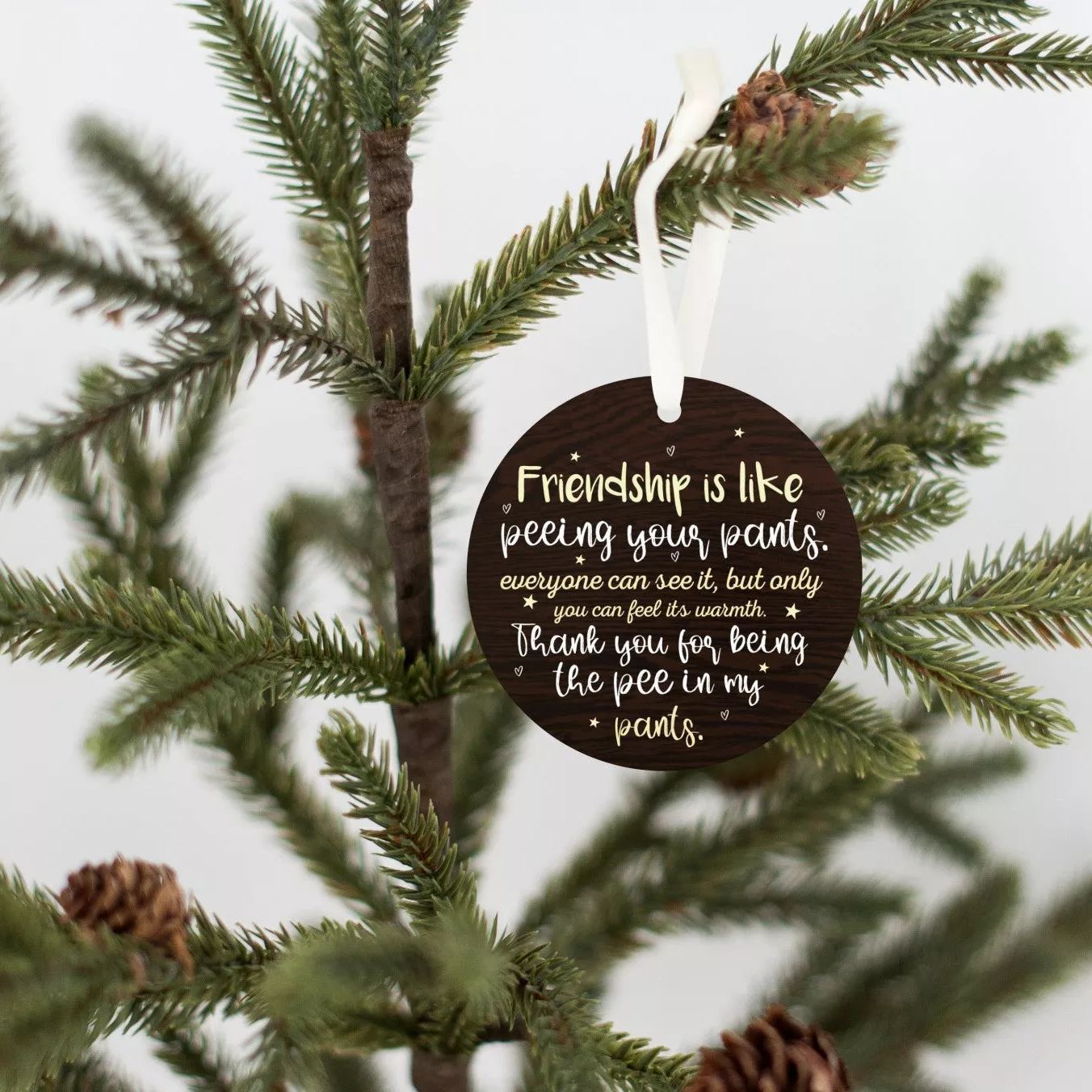 Friendship Is Like Peeing Your Pants Ornament