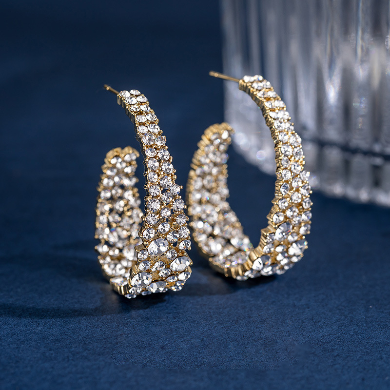 Retro Baroque Sparkling Hoop Earrings