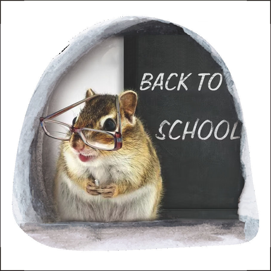 😂Funny Decoration 🐭🏠 3D Mouse Wall Sticker-EchoDecor