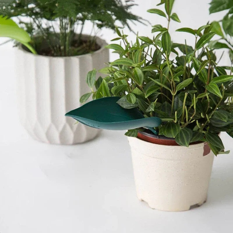 Funny Watering Leaves-Buy More Save More-EchoDecor