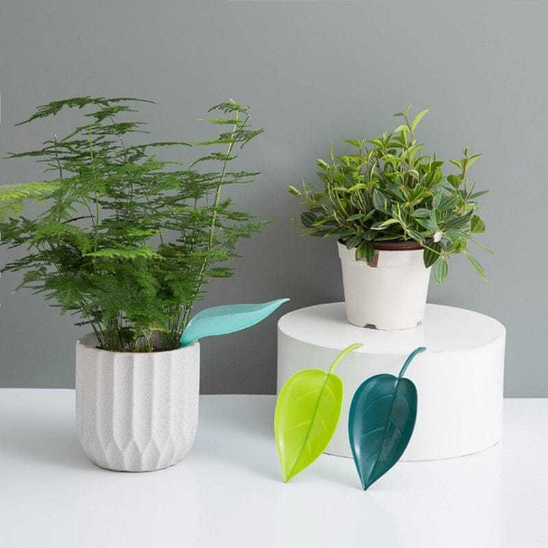 Funny Watering Leaves-Buy More Save More-EchoDecor