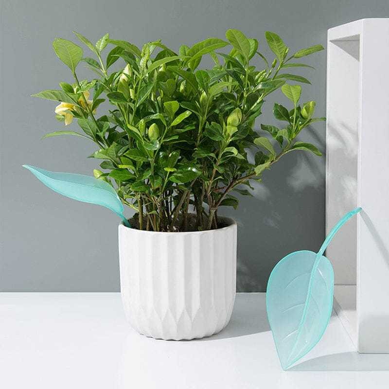 Funny Watering Leaves-Buy More Save More-EchoDecor