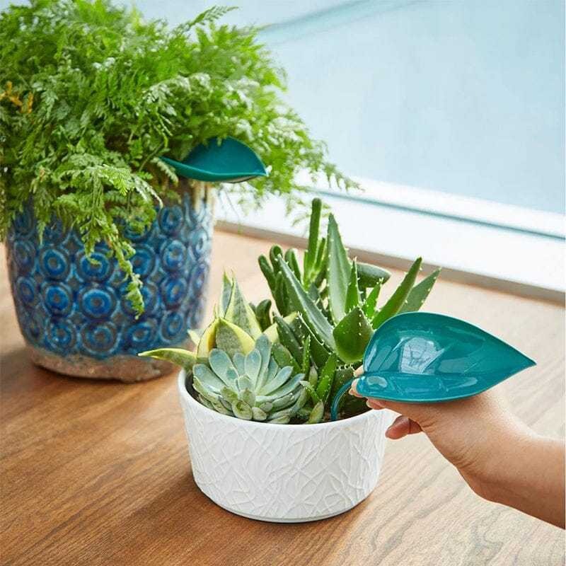Funny Watering Leaves-Buy More Save More-EchoDecor