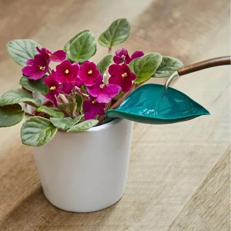 Funny Watering Leaves-Buy More Save More-EchoDecor
