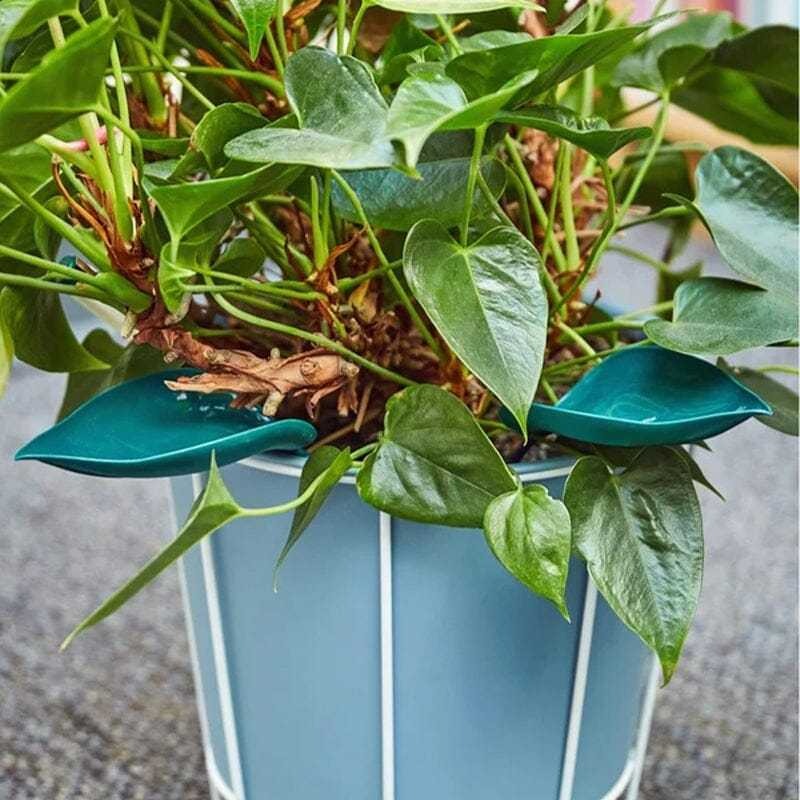 Funny Watering Leaves-Buy More Save More-EchoDecor