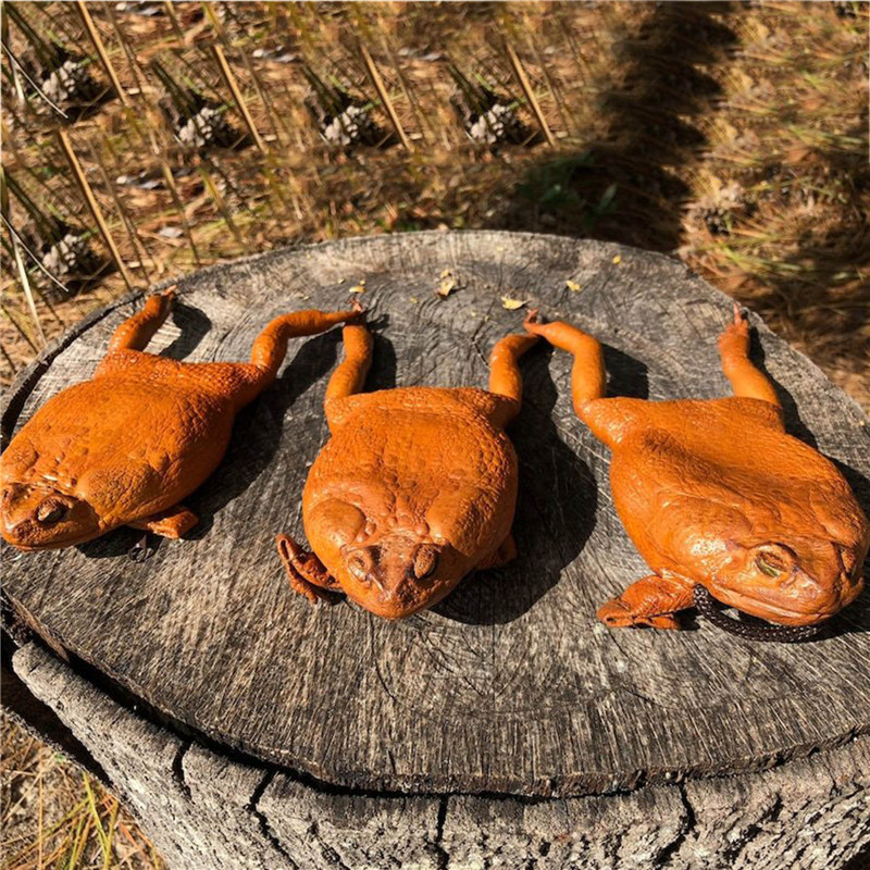 Sugar Cane Toad Full-body Coin Purse