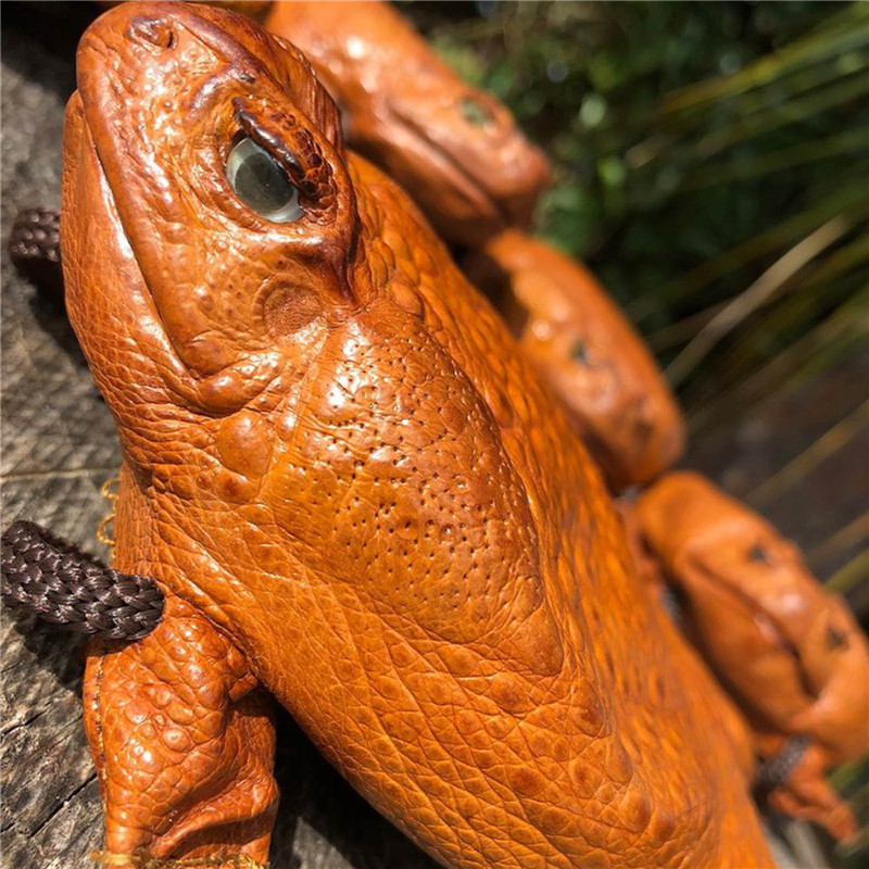 Sugar Cane Toad Full-body Coin Purse