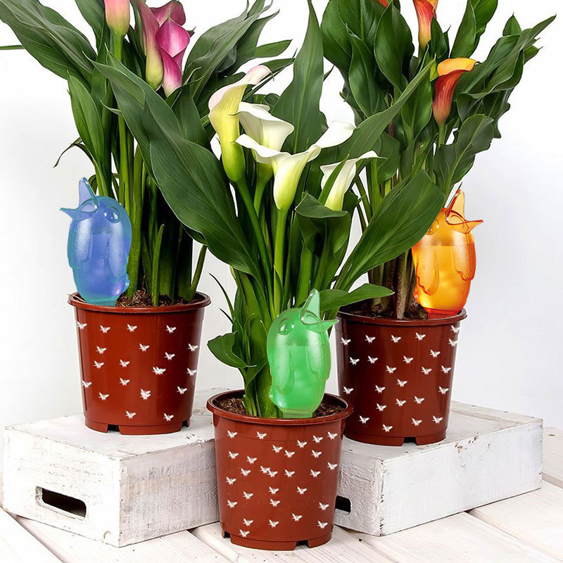 🔥Hot Sale 48% off🔥Bird Watering Kettle🐦-EchoDecor