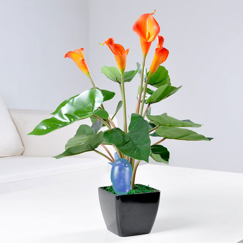 🔥Hot Sale 48% off🔥Bird Watering Kettle🐦-EchoDecor