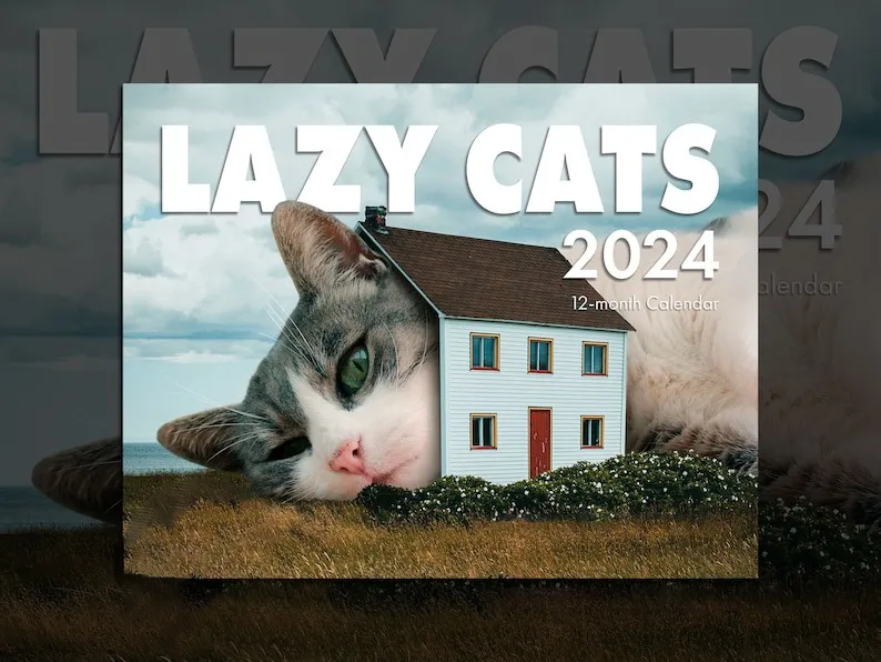 2024 LAZY CAT CALENDAR🤣