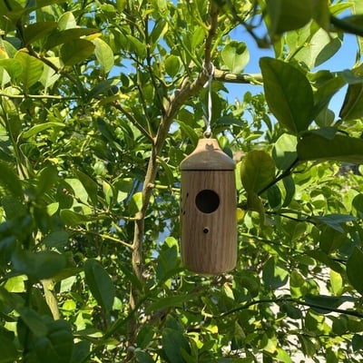 Wooden Hummingbird House-Gift for Nature Lovers-EchoDecor
