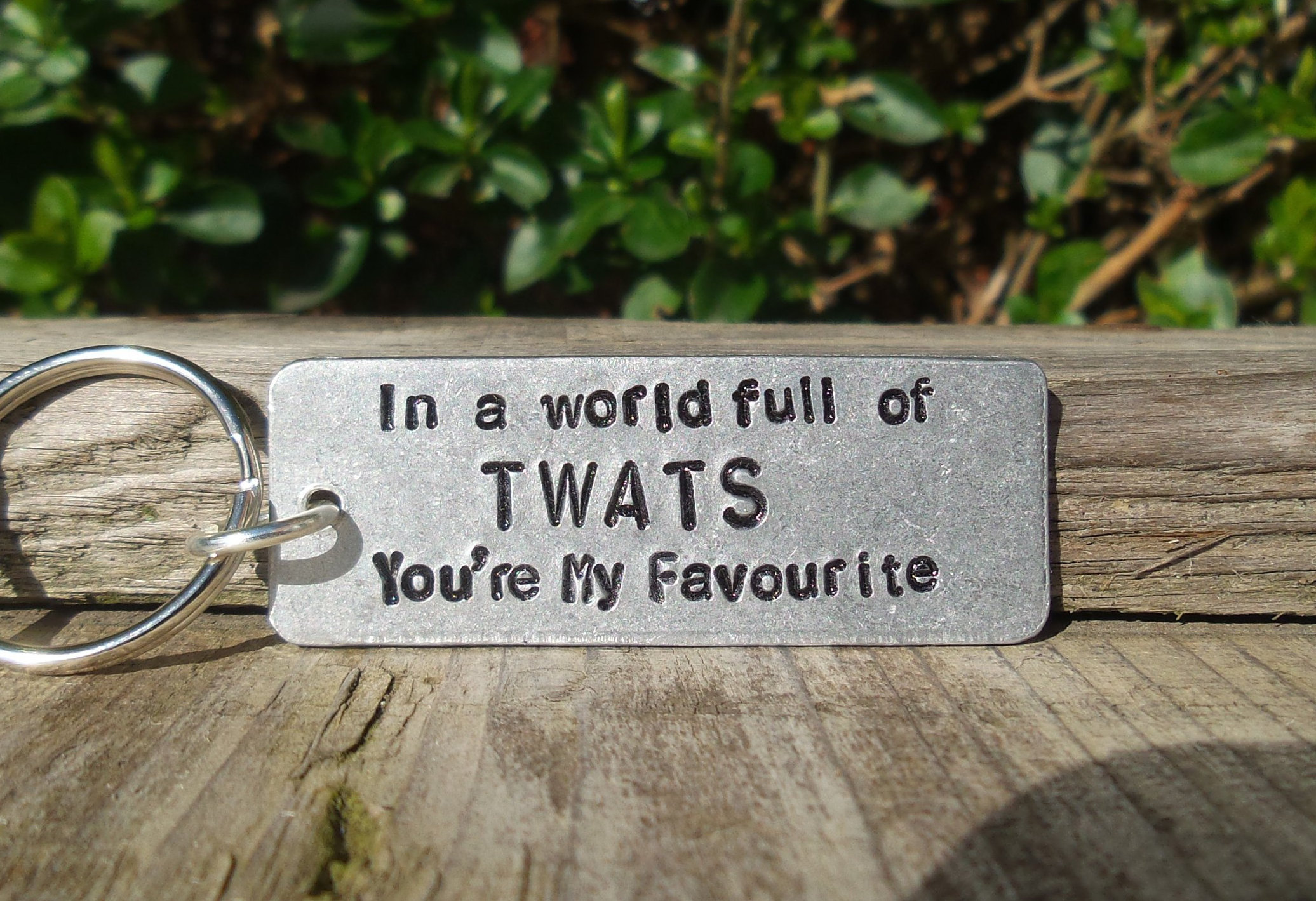 😂Funny Gifts Keychain Keyring-EchoDecor