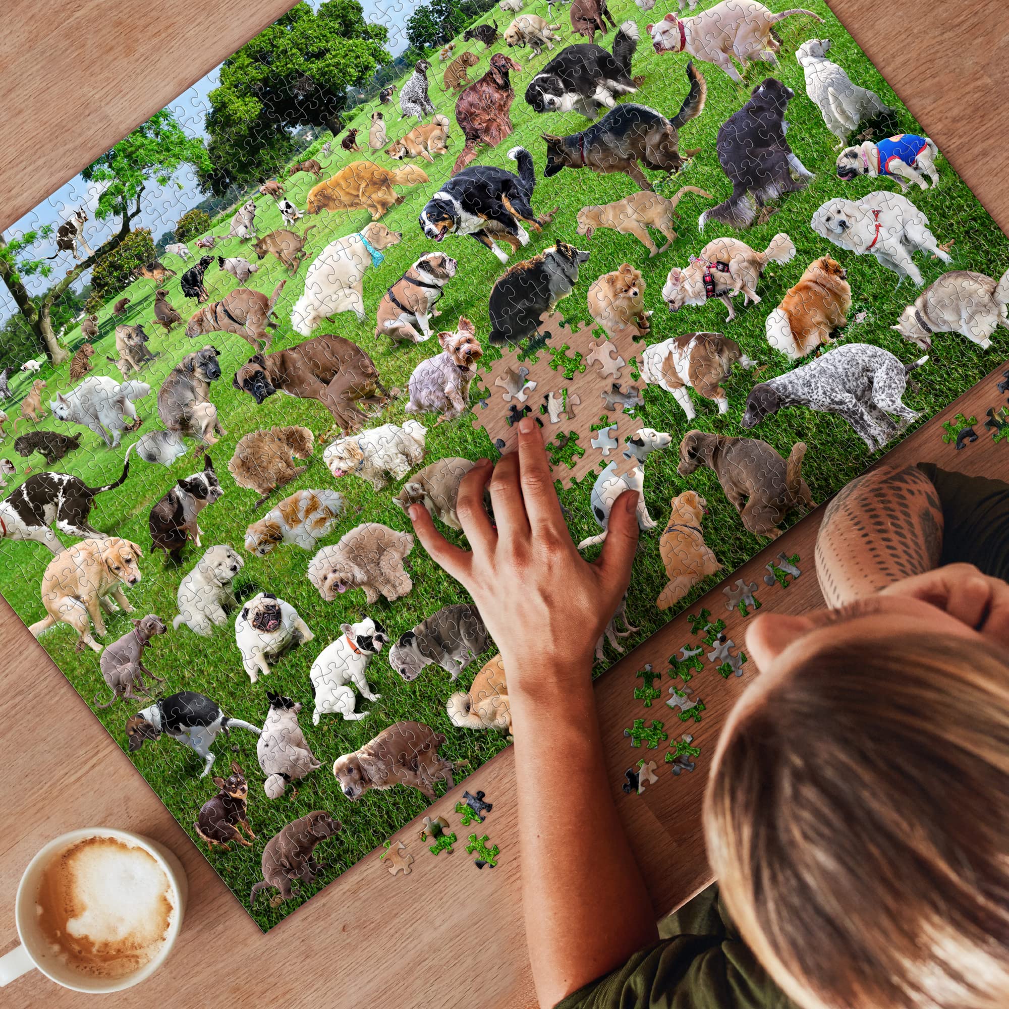 Pooping Dog Jigsaw Puzzle 1000 Piece-EchoDecor