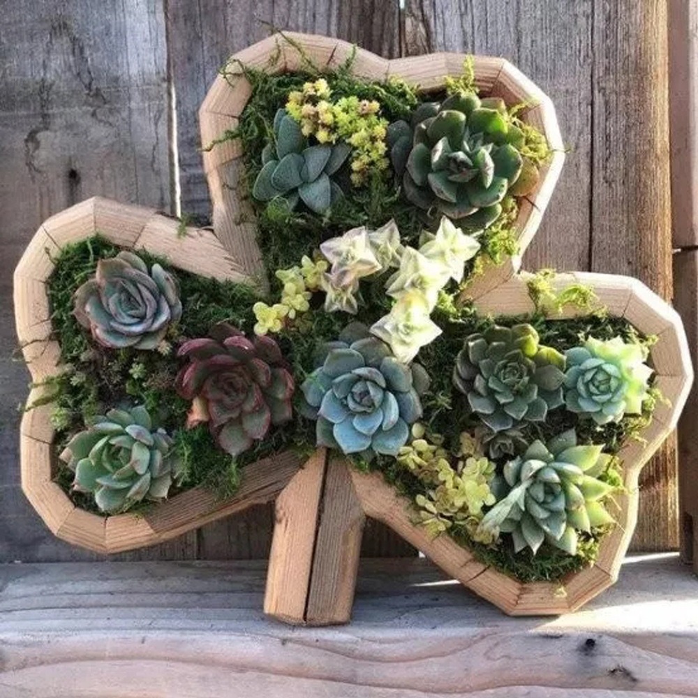 Wood Animal Shaped Succulent Planter-EchoDecor