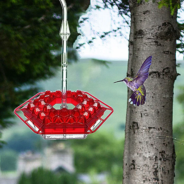 🐦🐦Hot Sale 50%💝Mary's Hummingbird Feeder With Perch And Built-in Ant Moat-EchoDecor