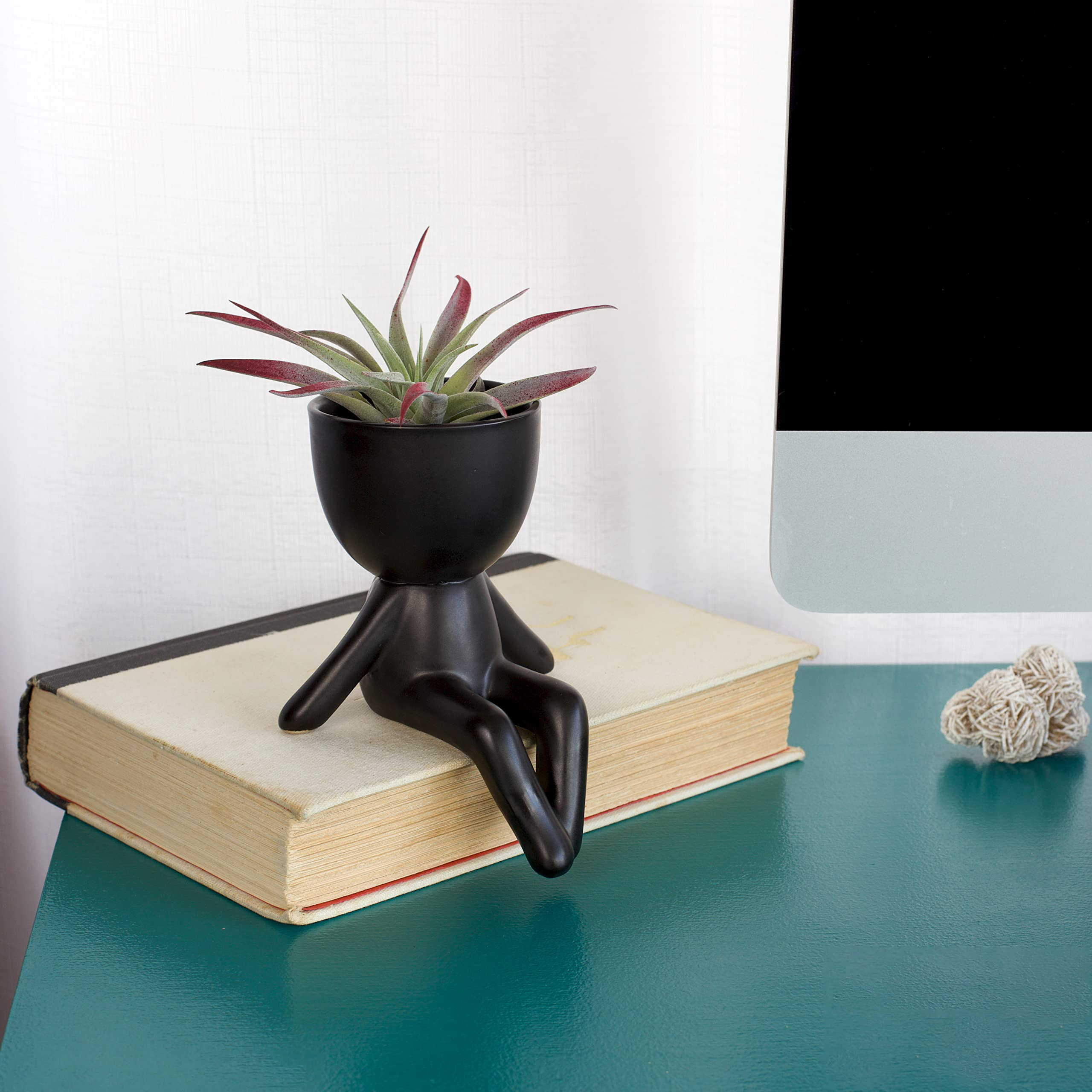 ✨Cute Decorations-🎍Small Decorative Pots for Plants-EchoDecor