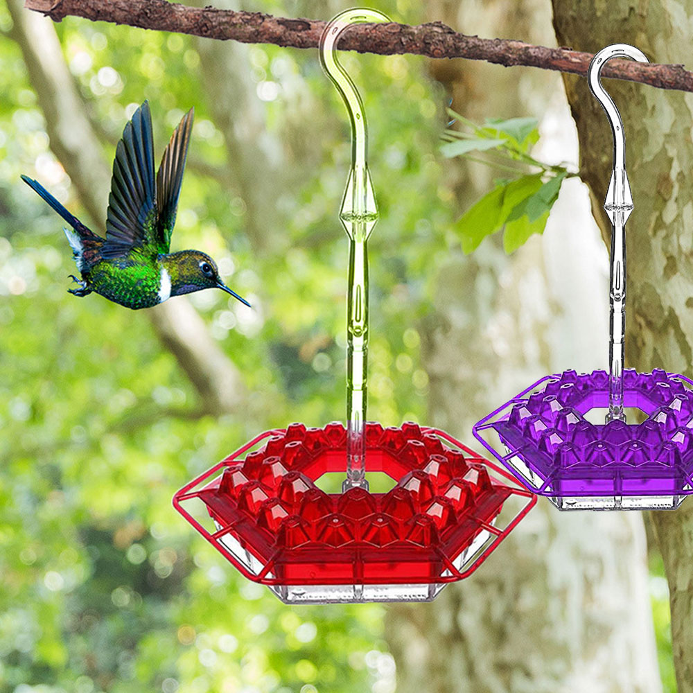 Hummingbird Feeder With Perch And Built-in Ant Moat-EchoDecor