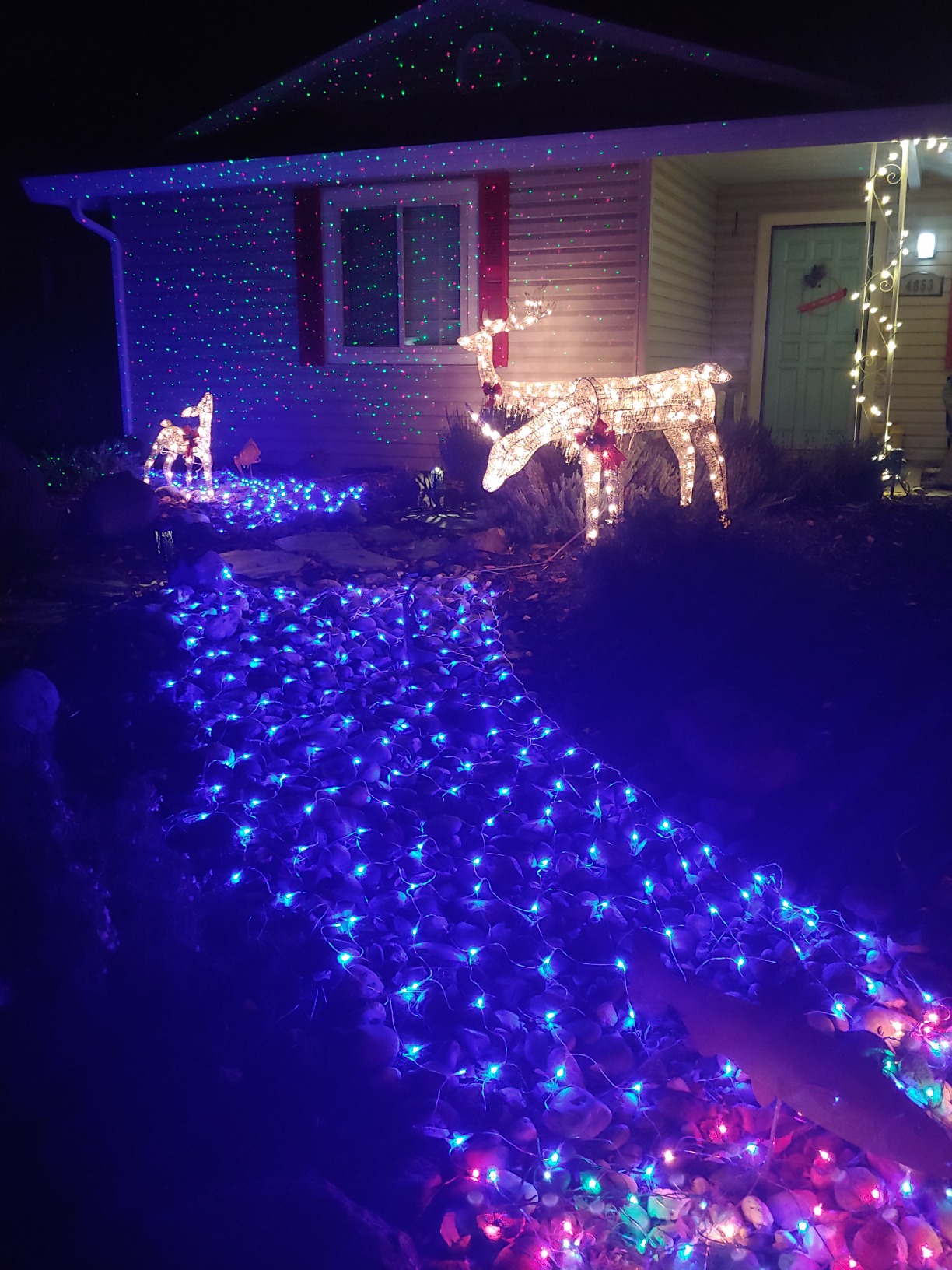 🎄Christmas Net Mesh Waterproof String Lights🌟-EchoDecor