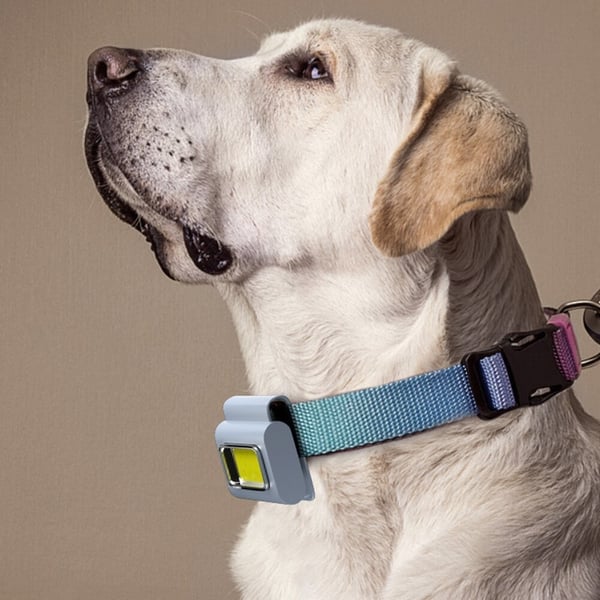 🔥HOT SALE 50% OFF🔥Magnetic Cob Work Light-EchoDecor