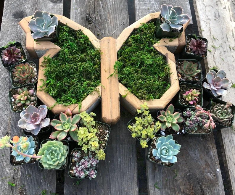 Wood Animal Shaped Succulent Planter-EchoDecor