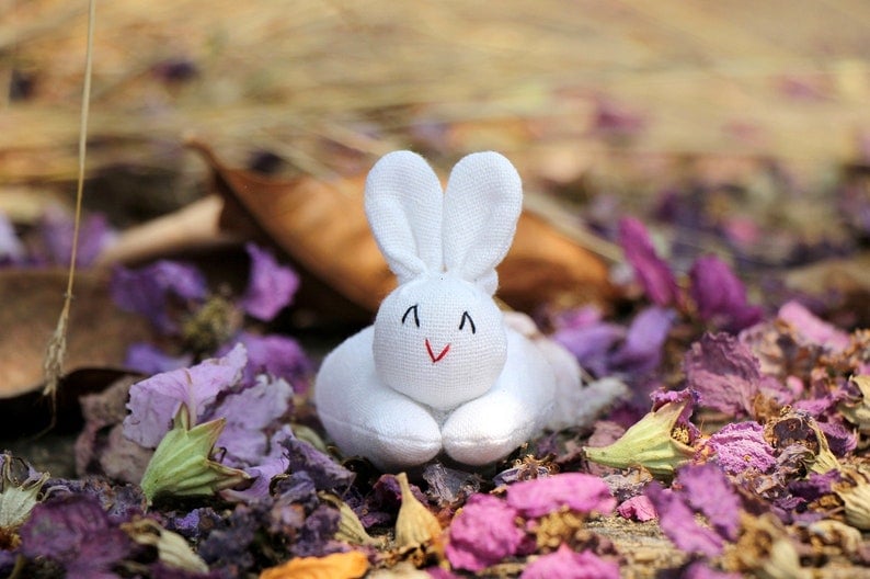 🎁Early Easter Sale🎁Hide-and-Seek Bunnies in Carrot Pouch-EchoDecor