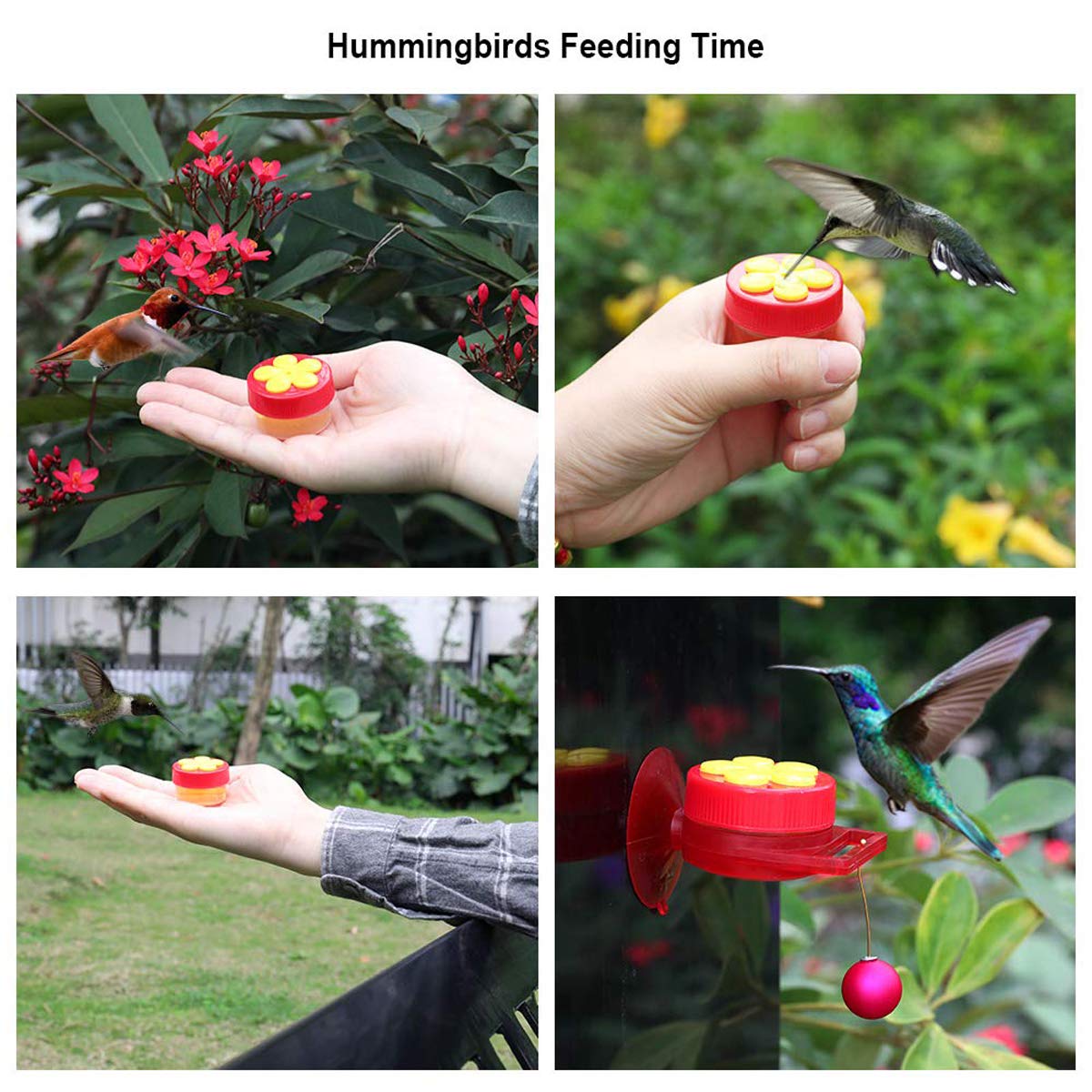 Handheld Mini Hummingbird Hand Feeder-EchoDecor