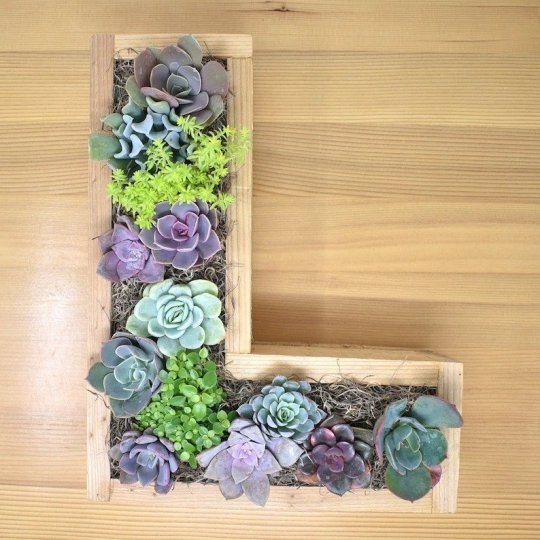 😍Wooden letter wall decoration,succulent plant containers✨-EchoDecor