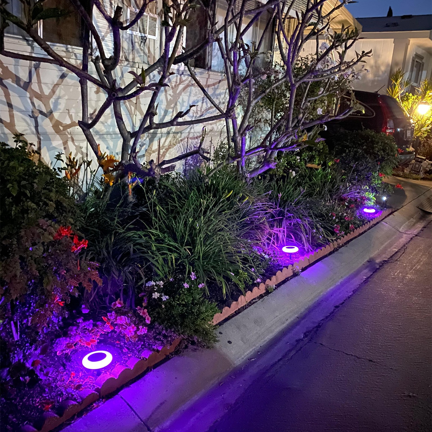 ✨Perfect home upgrade 👍Solar lights outdoor led colorful lights 🌈-EchoDecor
