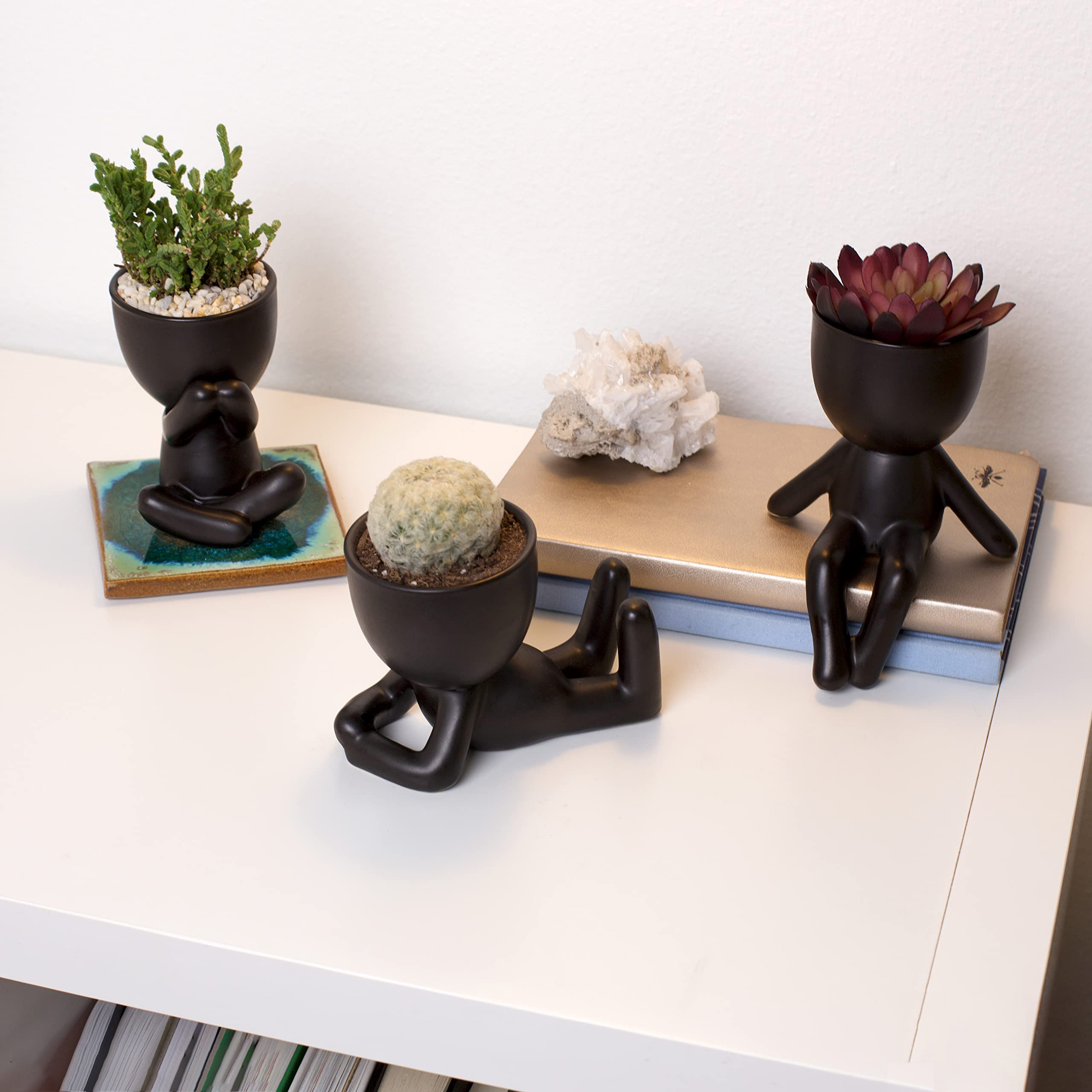 ✨Cute Decorations-🎍Small Decorative Pots for Plants-EchoDecor