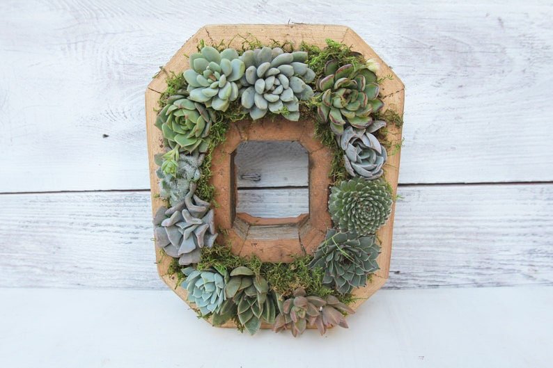 😍Wooden letter wall decoration,succulent plant containers✨-EchoDecor